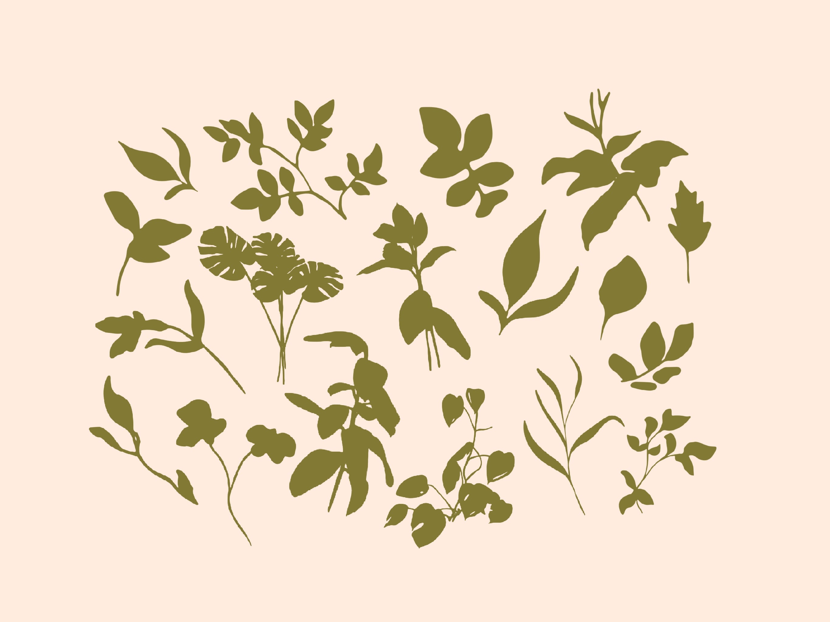 Cutout Floral Stamps for Procreate
