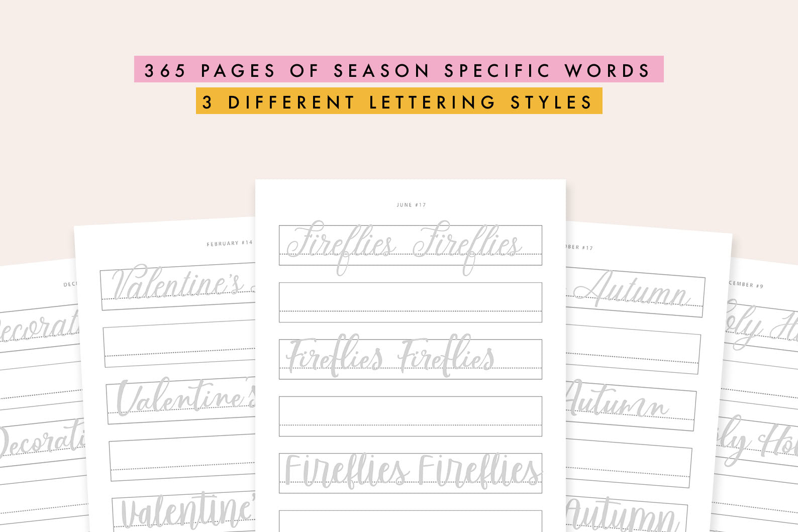 365 Days Of Lettering Workbook