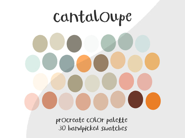 Color Palette for Procreate | Cantaloupe