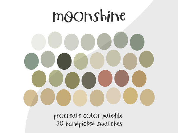 Color Palette for Procreate | Moonshine